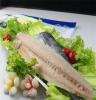 冷冻海鲜 冷冻鲅鱼片冷冻粗加工水产品优质供应商 出口转内销产品