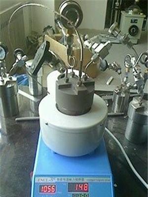 实验室高压反应釜 实验微型高压反应釜 微型高压反应釜