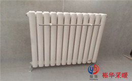 gh3-1.2/4-1.0钢五柱弧管散热器图片型号