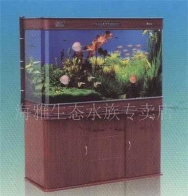 生态水族箱观赏鱼鱼缸佳宝水族森森鱼缸