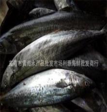 海鲜鱼批发-东港利源海鲜商行 鲅鱼物美价廉（价位随市价变动！）