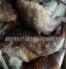 海鲜 水产品利源海鲜商行长年出售物美价廉优质朝鲜雪鱼 大头鱼