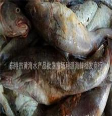 海鮮 水產品利源海鮮商行長年出售物美價廉優質朝鮮雪魚 大頭魚