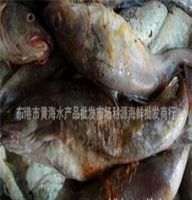 海鲜 水产品利源海鲜商行长年出售物美价廉优质朝鲜雪鱼 大头鱼