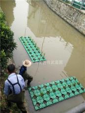 杭州生态浮床，水上种花，河道绿化。