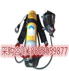 正压式消防空气呼吸器RHZKF6.8/30价格及规格型号