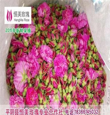 散装花草茶 山东平阴玫瑰花茶 美容养颜花茶 贴牌代加工