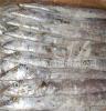 专业厂家长期大量批发刀鱼带鱼 海产品 营养美味 质优价廉 图