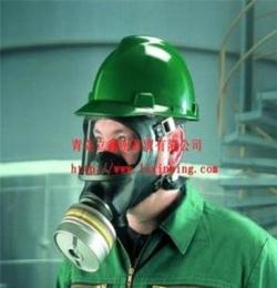 梅思安3S系列宽视野全面罩呼吸器 防毒面具 防毒面罩
