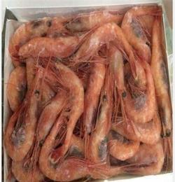 深海捕捞野生海鲜 俄罗斯生冻北极虾批发 供应北极甜虾 厂家货源