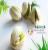 休闲食品 叶原坊80g开心果（招商代理 炒货类 批发团购 零食