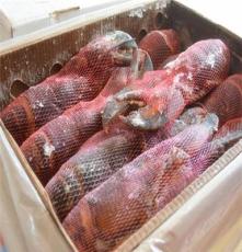 冷冻水产品海产品海鲜批发 生冻熟冻 波士顿龙虾 各类规格