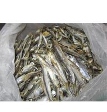 厂家直销 优质野生小鱼干 加工水产品 清水鱼干 味道鲜美