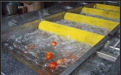 大型番茄清洗流水线、加工设备