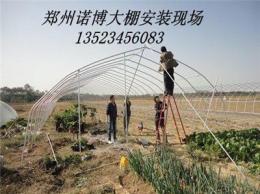 臨汾溫室大棚.無立柱鋼架花卉大棚建設價格