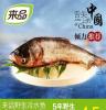 查干湖鱼价格北京平谷区销售