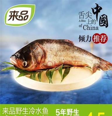 查干湖鱼价格北京平谷区销售