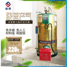销售亮普0.5T燃气蒸汽发生器饲料生产制造