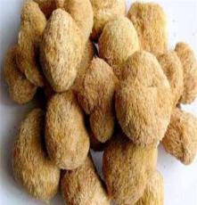 土鳖网食用菌猴头菇：林芝特产养胃猴头菇功效