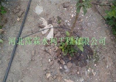 供应专业果树节水滴灌设备 河北省地区小管出流系统