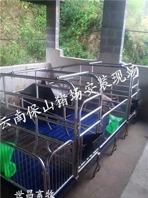 沧州养猪设备母猪产床价格猪产床设计图单体母猪产床