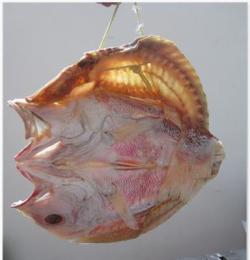 售儋州紅魚干