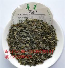 chunmee tea green tea 9367 眉茶綠茶秀眉出口茶紅茶花茶