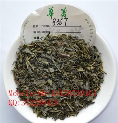 chunmee tea green tea 9367 眉茶绿茶秀眉出口茶红茶花茶