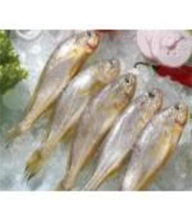 山东沁园食品冷藏有限公司供应沁园冷冻黄花鱼