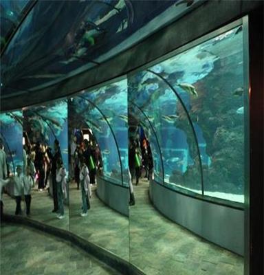 无锡海洋馆，大型亚克力水母观赏水族箱