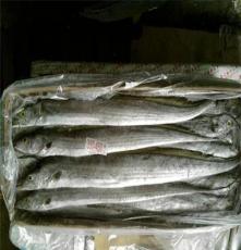 东海野生新鲜带鱼 鲜活海鲜批发 水产品活鲜带鱼