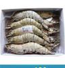 野生海捕竹节虾 海鲜特产冷冻竹节虾 10个/千克冷冻粗加工水产品