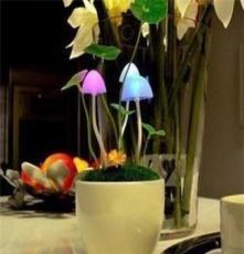 陶瓷蘑菇灯阿凡达蘑菇灯LED/盆栽小夜灯 感应灯安睡灯厂家直销