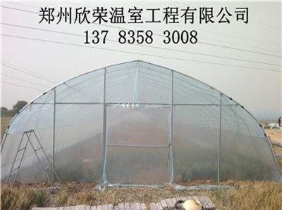 郑州温室大棚建设公司 洛阳蔬菜大棚建造安装