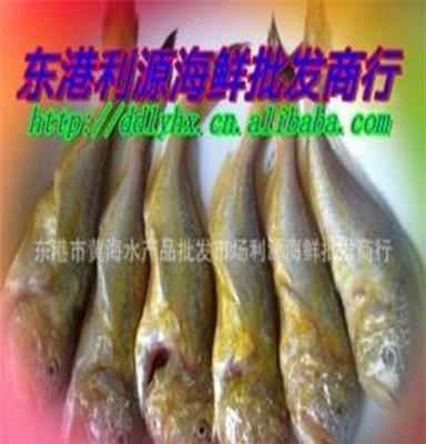 水产品-利源海鲜批发商行优质产品梅童鱼（大头宝）