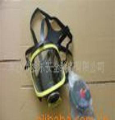 供应过滤式防毒面具 空气呼吸器面罩 化安全防护面罩