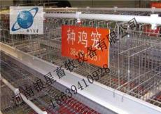 河南生产鸡笼的厂家丨河南鸡笼批发价格河南银星