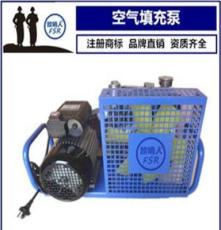 X100空气呼吸器充气泵