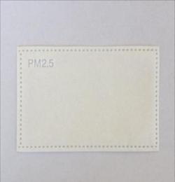 PM2.5 防護口罩濾片 常規(guī)型 可定制