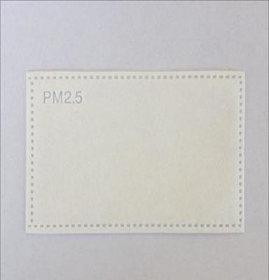 PM2.5 防护口罩滤片 常规型 可定制