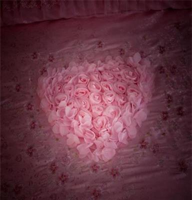 一件批发 5200家纺婚庆床品八件套结婚床上用品粉色蕾丝婚庆