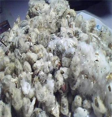 南京棉短绒加工