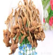 青川土特产 纯天然野生茶树菇 干货 茶树菇 250g 满百包邮