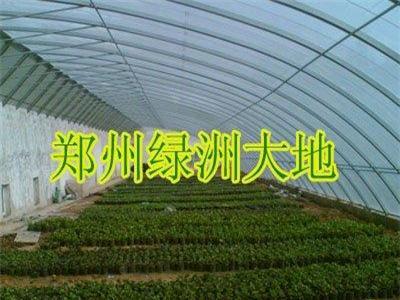 几字钢温室大棚/机制钢大棚骨架厂家,郑州绿洲大地