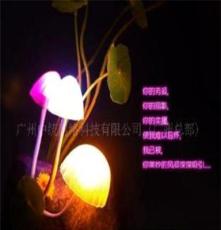 2011新LED礼品小夜灯创意新奇特产品