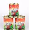 兰溪厂家供应热销水果罐头 优质罐头 铁制杨梅罐头