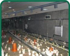 鸡舍取暖设备报价单-德州市新的供应信息