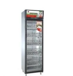 供应康庭YTD600A1-KT16玻璃单门食具消毒柜