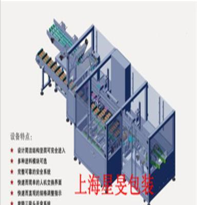 全自动卧式装盒机 上海全自动药品装盒机 在线式自动装盒机