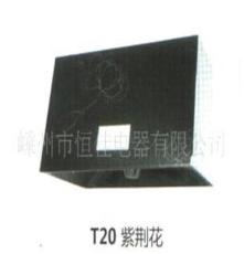 T20紫荆花油烟机整机（图）